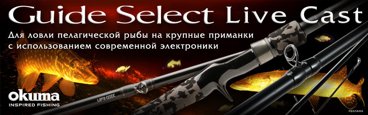 Баннер Okuma Guide Select Live 