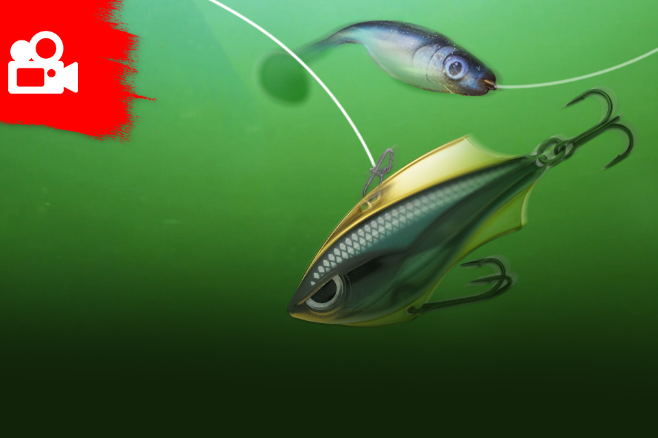 Неповторимый Rapala Rap-V Blade + Storm