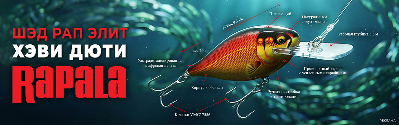 Шед рап элит хеви