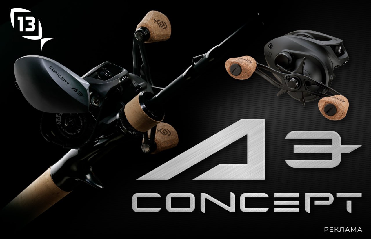 А3 concept