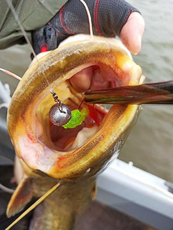 извлечения крючка инструментом RAPALA RCD